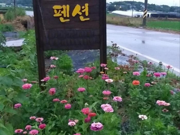 Nonsan Wild Flower Pension Exterior foto